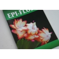epi-flora #6